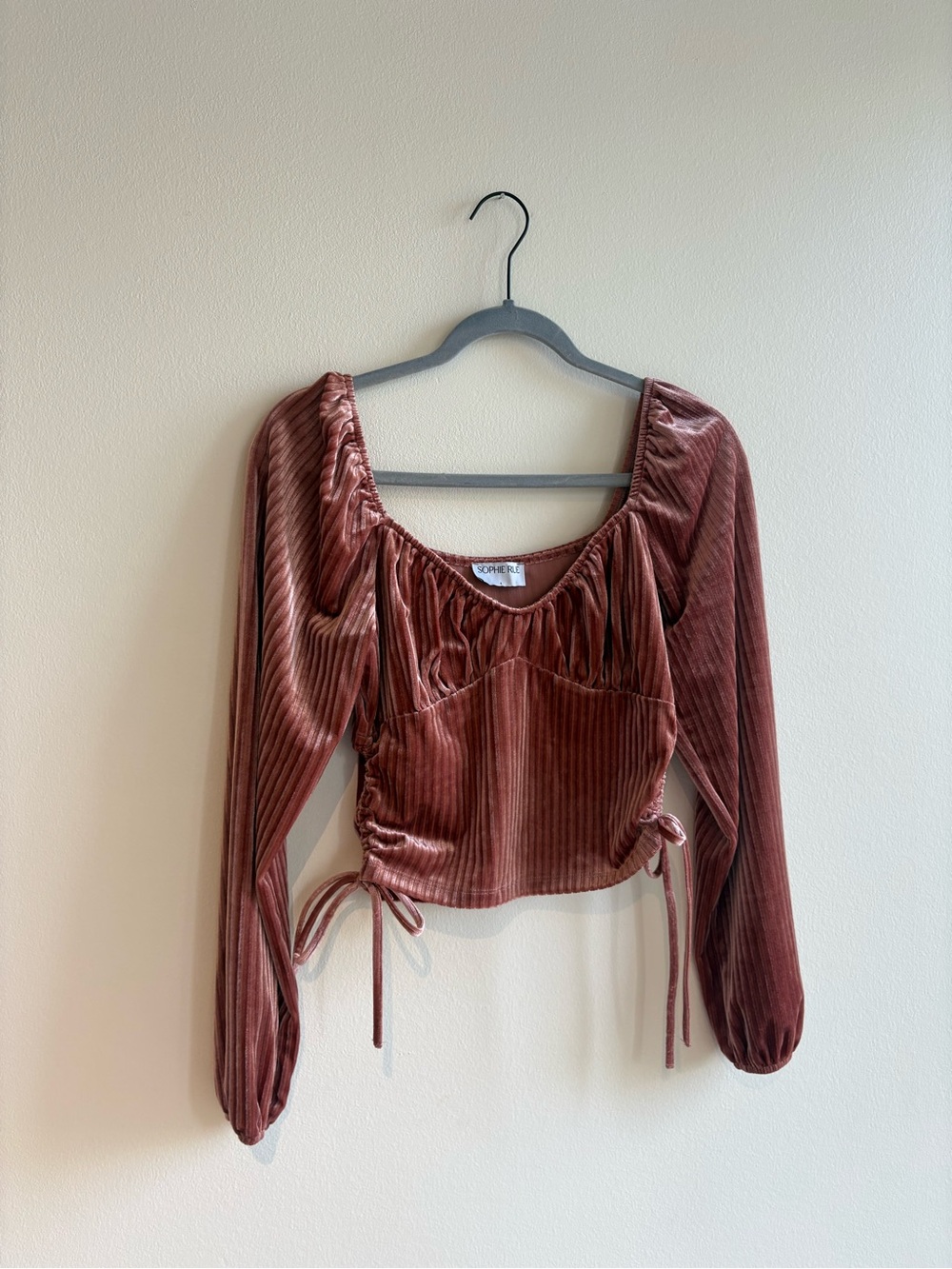 Rust Velvet Long-Sleeve Ruched Crop Top
